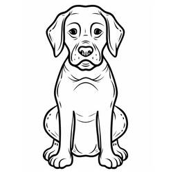 Dibujo para colorear: Labrador (Animales) #220748 - Dibujos para Colorear e Imprimir Gratis