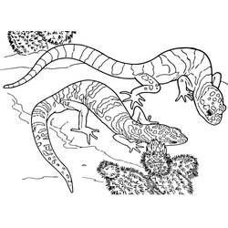 Dibujos para colorear: Lagarto - Dibujos para Colorear e Imprimir Gratis