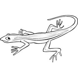 Dibujo para colorear: Lagarto (Animales) #179631 - Dibujos para Colorear e Imprimir Gratis