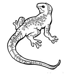 Dibujo para colorear: Lagarto (Animales) #179638 - Dibujos para Colorear e Imprimir Gratis