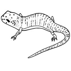 Dibujo Lagarto (Animales) #179642 para imprimir y colorear