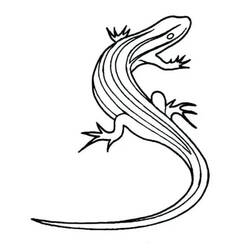 Dibujo para colorear: Lagarto (Animales) #179645 - Dibujos para Colorear e Imprimir Gratis