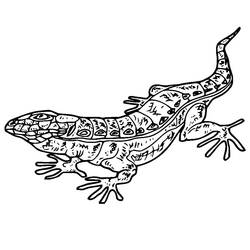 Dibujo para colorear: Lagarto (Animales) #179649 - Dibujos para Colorear e Imprimir Gratis