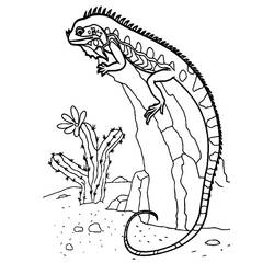 Dibujo para colorear: Lagarto (Animales) #179654 - Dibujos para Colorear e Imprimir Gratis