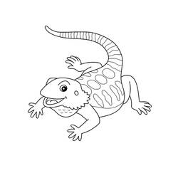 Dibujo para colorear: Lagarto (Animales) #217870 - Dibujos para Colorear e Imprimir Gratis