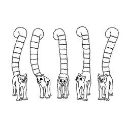 Dibujos para colorear: Lémur - Dibujos para Colorear e Imprimir Gratis