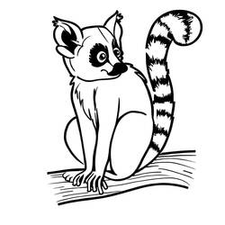 Dibujo Lémur (Animales) #219676 para imprimir y colorear