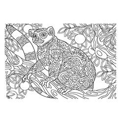 Dibujo Lémur (Animales) #219679 para imprimir y colorear