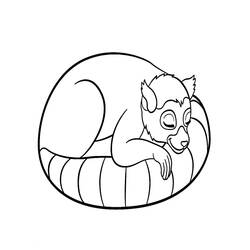 Dibujo Lémur (Animales) #219681 para imprimir y colorear