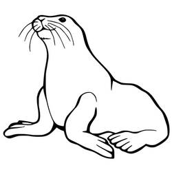 Dibujo León Marino (Animales) #192523 para imprimir y colorear