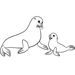 Dibujo León Marino (Animales) #192529 para imprimir y colorear