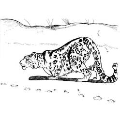 Dibujo Leopardo (Animales) #189155 para imprimir y colorear