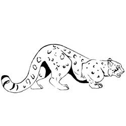 Dibujo Leopardo (Animales) #189160 para imprimir y colorear