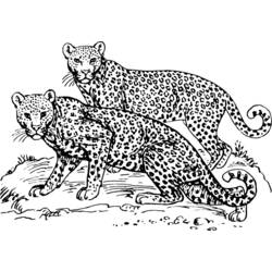 Dibujo para colorear: Leopardo (Animales) #9724 - Dibujos para Colorear e Imprimir Gratis