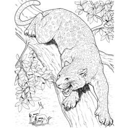 Dibujo para colorear: Leopardo (Animales) #9775 - Dibujos para Colorear e Imprimir Gratis