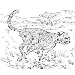 Dibujo para colorear: Leopardo (Animales) #9798 - Dibujos para Colorear e Imprimir Gratis