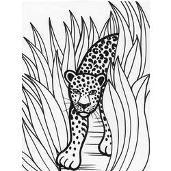 Dibujo para colorear: Leopardo (Animales) #9825 - Dibujos para Colorear e Imprimir Gratis
