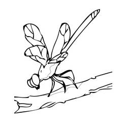 Dibujo Libélula (Animales) #196556 para imprimir y colorear