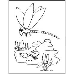 Dibujo Libélula (Animales) #196562 para imprimir y colorear