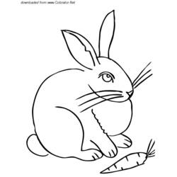 Dibujo para colorear: Liebre (Animales) #10124 - Dibujos para Colorear e Imprimir Gratis