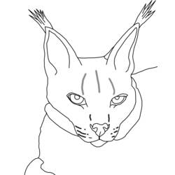 Dibujo para colorear: Lince (Animales) #10828 - Dibujos para Colorear e Imprimir Gratis