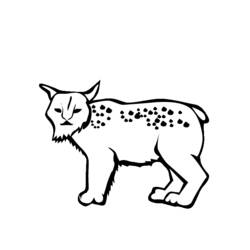 Dibujo para colorear: Lince (Animales) #10829 - Dibujos para Colorear e Imprimir Gratis