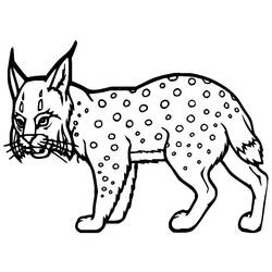 Dibujo Lince (Animales) #189223 para imprimir y colorear