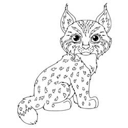 Dibujo Lince (Animales) #189248 para imprimir y colorear