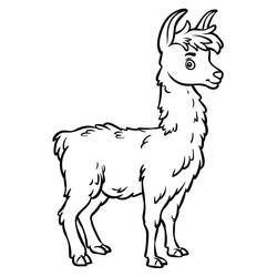 Dibujo para colorear: Llama (Animales) #179530 - Dibujos para Colorear e Imprimir Gratis