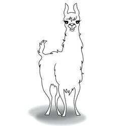 Dibujo para colorear: Llama (Animales) #179534 - Dibujos para Colorear e Imprimir Gratis