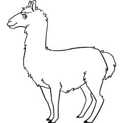 Dibujo para colorear: Llama (Animales) #179543 - Dibujos para Colorear e Imprimir Gratis