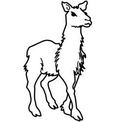 Dibujo para colorear: Llama (Animales) #179545 - Dibujos para Colorear e Imprimir Gratis