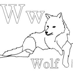 Dibujo para colorear: Lobo (Animales) #10524 - Dibujos para Colorear e Imprimir Gratis