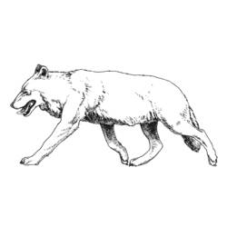 Dibujo para colorear: Lobo (Animales) #10530 - Dibujos para Colorear e Imprimir Gratis