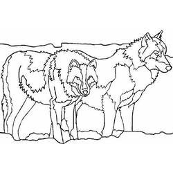 Dibujo para colorear: Lobo (Animales) #10535 - Dibujos para Colorear e Imprimir Gratis