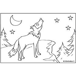 Dibujo para colorear: Lobo (Animales) #10558 - Dibujos para Colorear e Imprimir Gratis