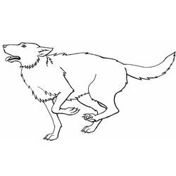 Dibujo Lobo (Animales) #175244 para imprimir y colorear