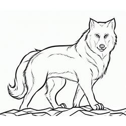 Dibujo Lobo (Animales) #175249 para imprimir y colorear
