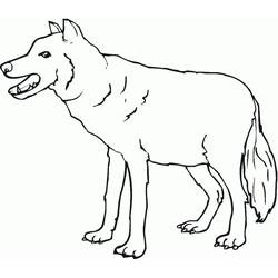 Dibujo Lobo (Animales) #175266 para imprimir y colorear