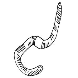 Dibujo para colorear: Lombriz (Animales) #214589 - Dibujos para Colorear e Imprimir Gratis