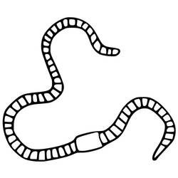 Dibujo para colorear: Lombriz (Animales) #214593 - Dibujos para Colorear e Imprimir Gratis