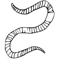 Dibujo para colorear: Lombriz (Animales) #214595 - Dibujos para Colorear e Imprimir Gratis