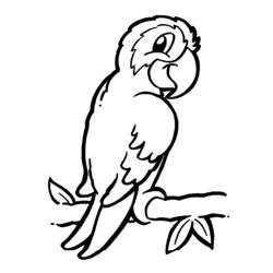 Dibujo para colorear: Loro (Animales) #16061 - Dibujos para Colorear e Imprimir Gratis