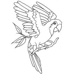Dibujo para colorear: Loro (Animales) #16072 - Dibujos para Colorear e Imprimir Gratis