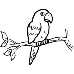 Dibujo para colorear: Loro (Animales) #16074 - Dibujos para Colorear e Imprimir Gratis