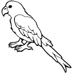 Dibujo para colorear: Loro (Animales) #16077 - Dibujos para Colorear e Imprimir Gratis