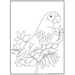 Dibujo para colorear: Loro (Animales) #16078 - Dibujos para Colorear e Imprimir Gratis