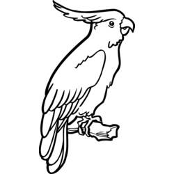 Dibujo para colorear: Loro (Animales) #16081 - Dibujos para Colorear e Imprimir Gratis