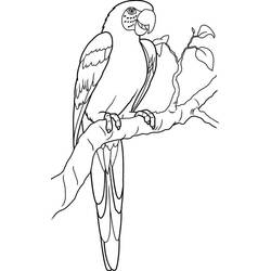 Dibujo para colorear: Loro (Animales) #16139 - Dibujos para Colorear e Imprimir Gratis