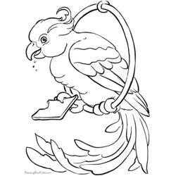 Dibujo para colorear: Loro (Animales) #16141 - Dibujos para Colorear e Imprimir Gratis